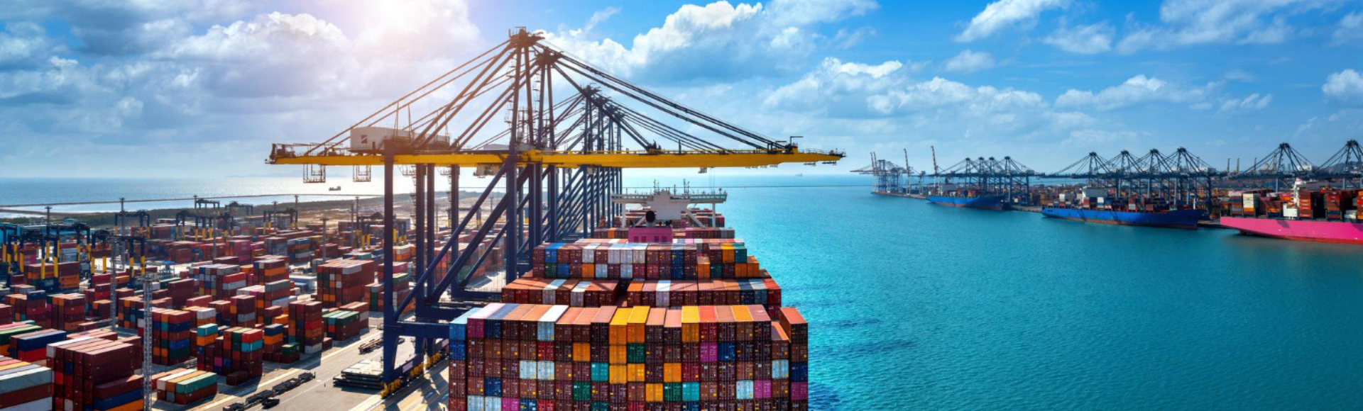 Port Operations and Agency Services